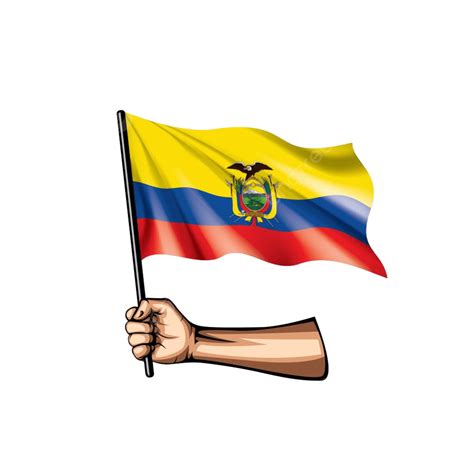 Ecuador Bandera Y Mano Blanco Plano De Fondo Png Dibujos Independencia