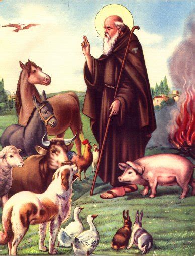 Feast Day Of San Antonio De Abad Saint Anthony Abbot Events Los Cabos