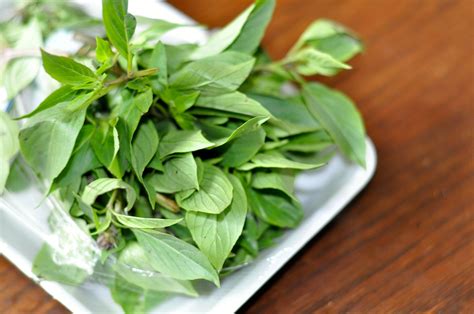 thai basil - Recipes 'R' Simple