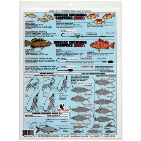 Bait Rigging Chart Pdf Printable Templates Free