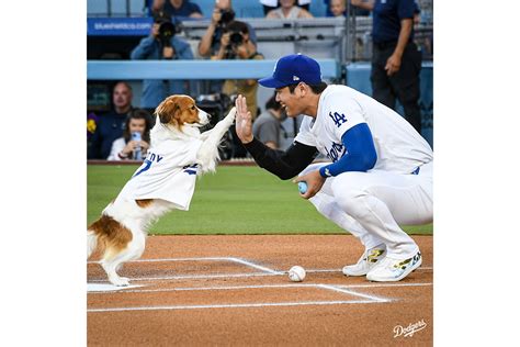 画像写真6枚目大谷翔平 左肩リハビリで延期したWS優勝後の真美子さん一家とのハワイ旅行計画 2024年ベストスクープ 女性自身