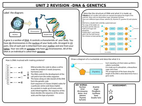 Gcse Biology Completed Dna And Genetics Revision Mat Knowledge