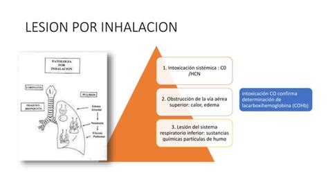 Lesiones Por Inhalacion De Humo Diagnostico Y Pptx