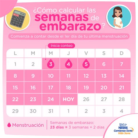 ¿cómo Puedo Calcular Mis Semanas De Embarazo Mibbmemima ️