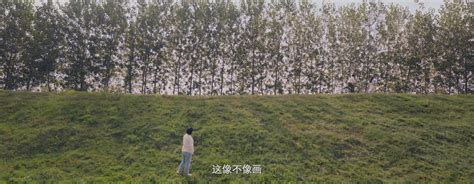 《你好，李焕英》主题曲《萱草花》mv发布