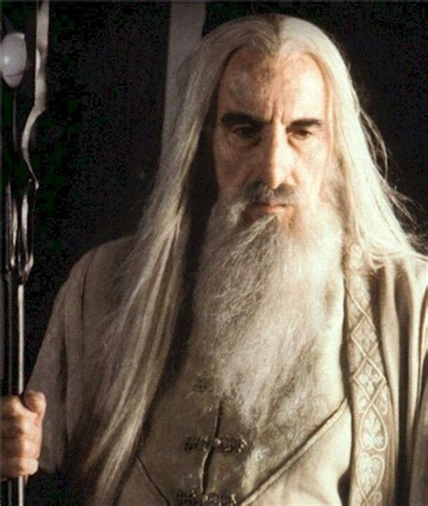 Saruman Lord Of The Rings Fellowship Of The Ring Lord Of The Rings