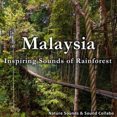 Malaysia Inspiring Sounds Of Rainforest Album By Nature Sounds