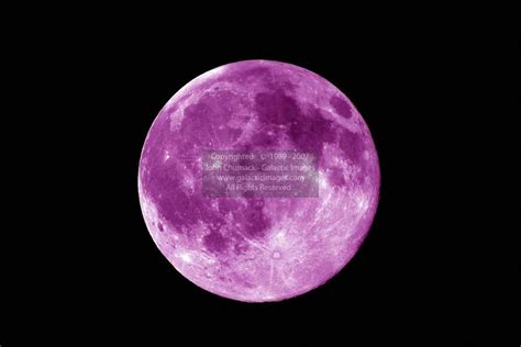 Purple Full Moon Photos - Full Moon Photos