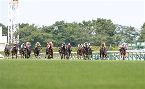 2023年 オークスg1を写真で振り返る【リバティアイランド 川田将雅騎手】 競馬まとめ Netkeiba