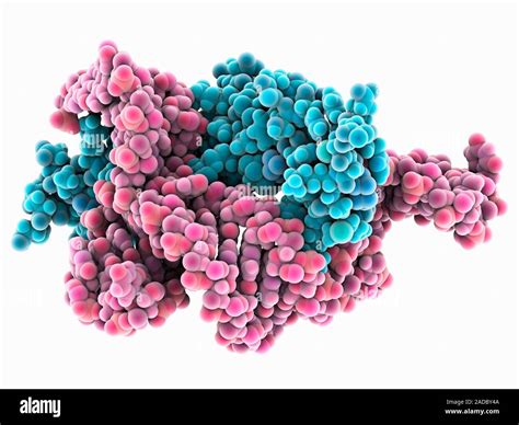 Transcription Factor Iiia Zinc Finger Protein Complexed With Ribosomal