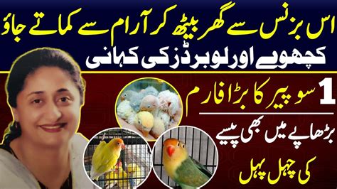 How To Start Lovebird Farming Small Business Idea In Pakistan Lovebirds