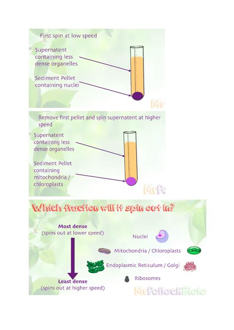 SOLUTION Biochemistry Cell Fractionation Chromatography Differential