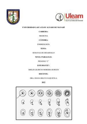 Características histológicas de los testículos en machos reproduc