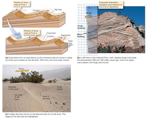 Learning Geology Sedimentary Structures