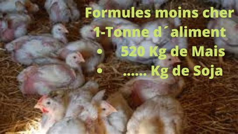 Ntroduire Imagen Formule Aliment Poulet De Chair Fr Thptnganamst