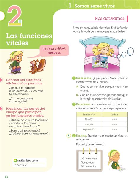 Funciones Vitales Del Ser Humano Las Funciones Vitales 1 Somos Seres