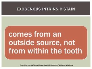 Dental Stains Discolorations And Polishing PPT