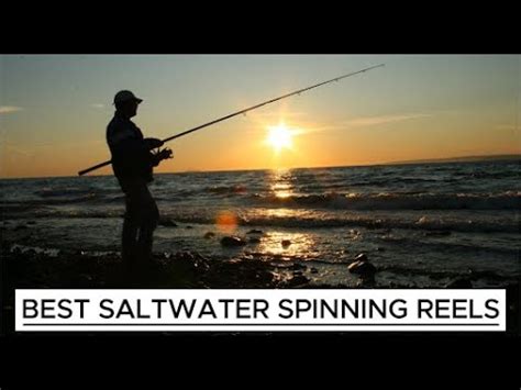 Ultimate Saltwater Fishing Reel Showdown Shimano Stella Vs Penn