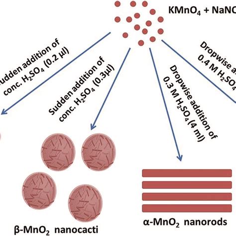 Schematic Showing The Formation Of α And β Mno2 Nanocacti And α And