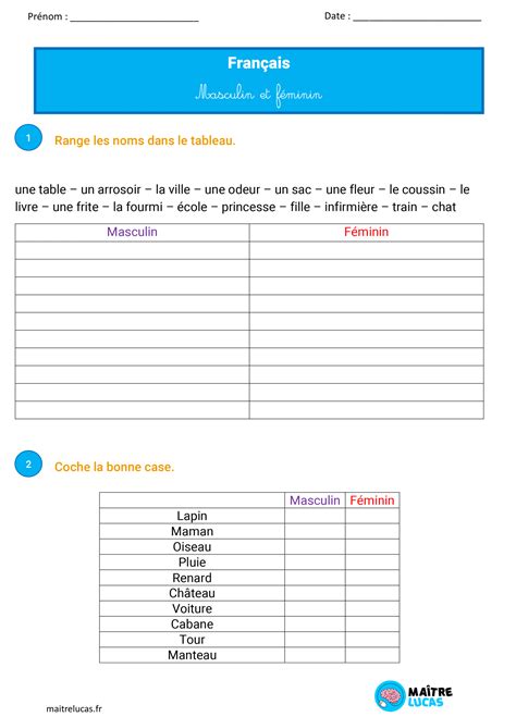 Fiches Exercices Masculin Féminin s entrainer à les identifier CP CE1