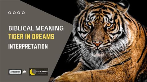 Biblical Meaning Of Tigers In Dreams Seeing Tiger Dream Meaning