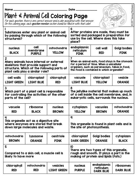 Cell Organelles Color By Number Interactive Worksheet Edform