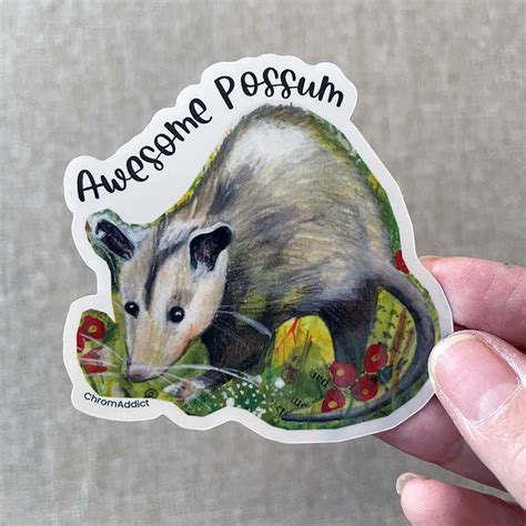 Awesome Possums