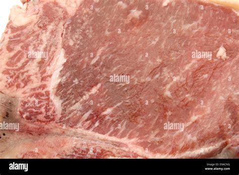 Bone Texture Hi Res Stock Photography And Images Alamy