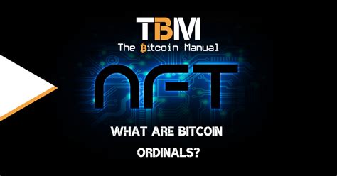 What Are Bitcoin Ordinals The Bitcoin Manual