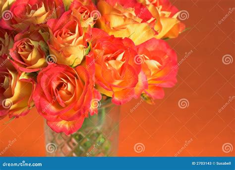 Orange Roses In Glass Vase Stock Image Image Of Romantic