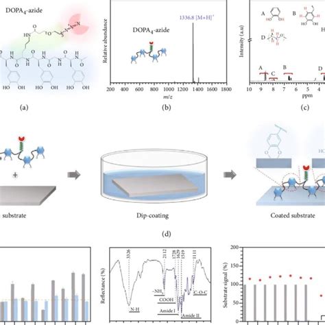 A Structural Formula Of The Bioclickable Mussel Inspired Peptide Download Scientific Diagram