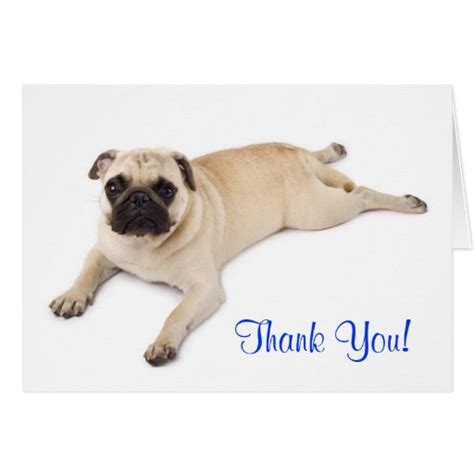 Thank You Pug Blank Note Card Zazzle