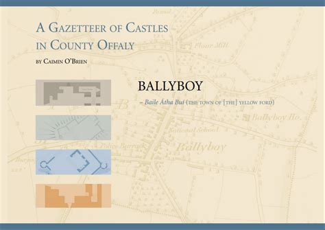 Castles Offaly County Counciloffaly County Council