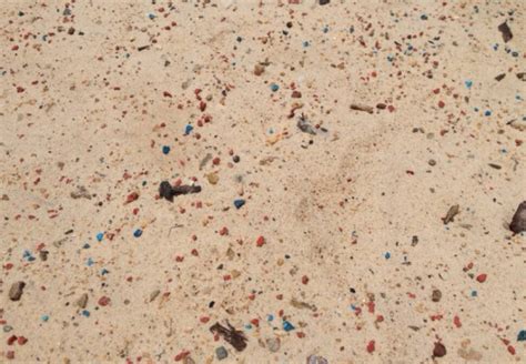 A Report Says Plastics Are Destroying Marine Life In Moreton Bay