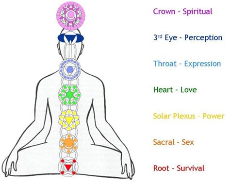 Mantra Of The Week Chakras Mapping The Subtle Body