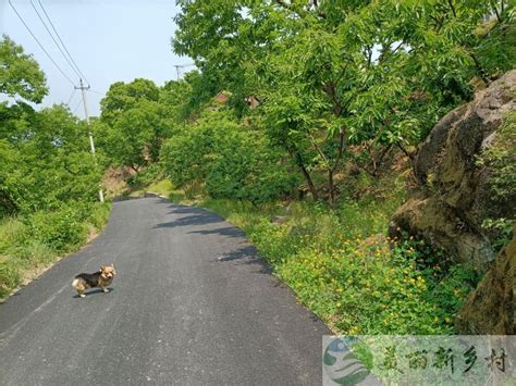 北京怀柔区渤海镇景峪村怀柔区农村房屋出租 怀柔区美丽新乡村