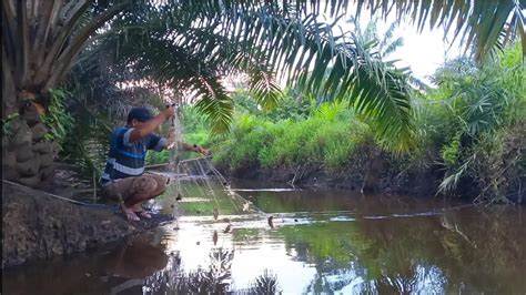 MELIHAT HASIL JARING IKAN YANG DI TINGGAL SEMALAMAN DI PARIT KECIL