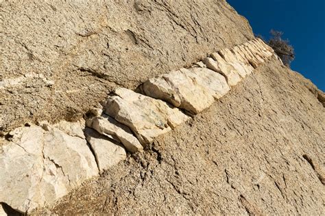 Aplite Dike In Granodiorite California Geology Pics