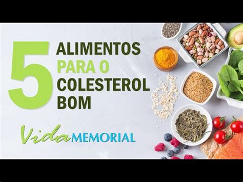 O Que É Bom Para O Colesterol - Colesterol Bom