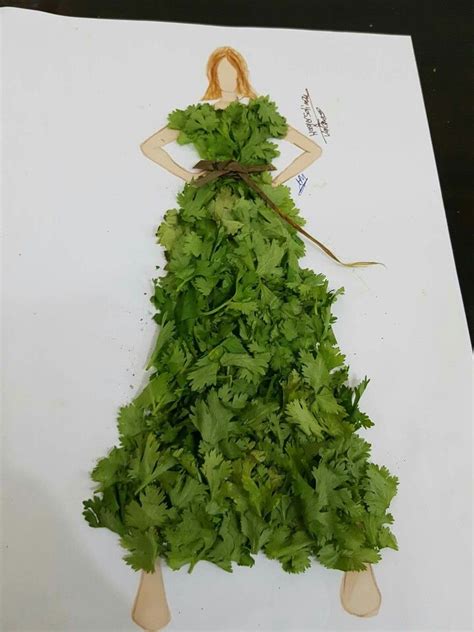 Parsley Herbs Food Fashion Moda Fashion Styles Essen Herb Meals