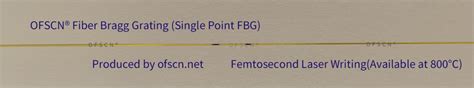 800℃ Femtosecond Fbg Temperature Sensor Fbg Thermometer Fiber Optic