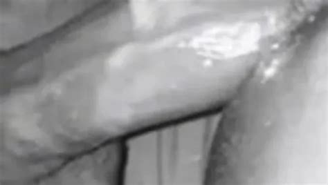 Free Pussy Tease Porn Videos XHamster