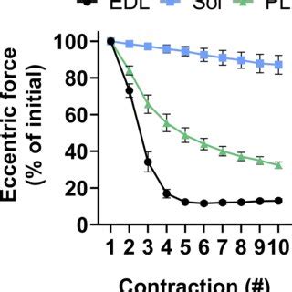 Eccentric Contraction Force Tracings Of The EDL Fast Twitch Soleus