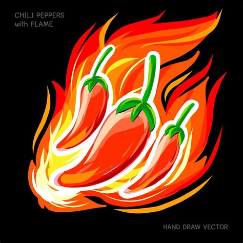 Chili Peppers With Flame Hand Drawing Vector Art At Vecteezy