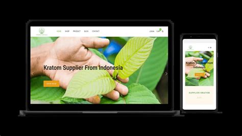 Jasa Pembuatan Website Ecommerce Murah Tampilan Profesional