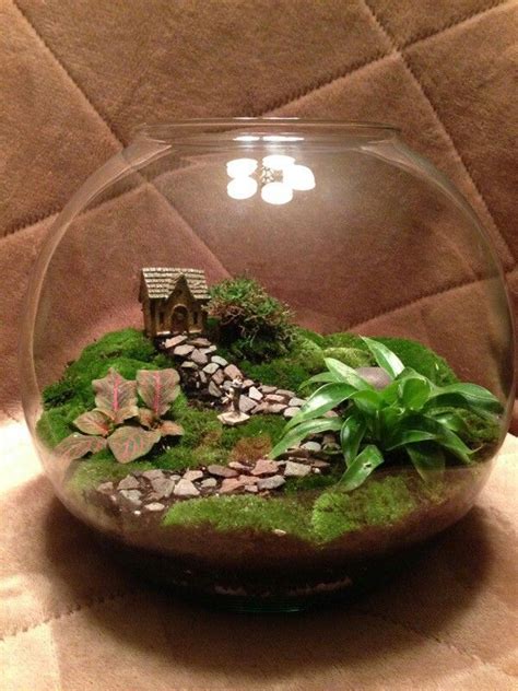 Terrarium Fairy Terrarium Beautiful Terrariums