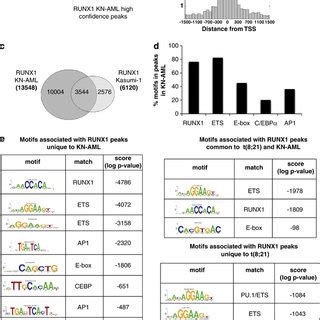 RUNX1 ETO Knockdown Interferes With Leukemic Self Renewal And Promotes