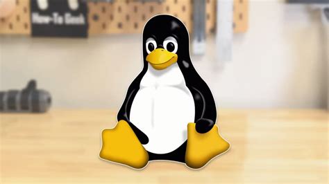 Distro Linux Terbaik Vs Windows Dan Macos Mana Yang Sesuai