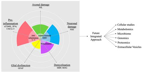 Ijms Free Full Text Current And Future Biomarkers In Multiple Sclerosis