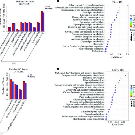 Go Classification And Kegg Enrichment Analysis Of Degs A Go